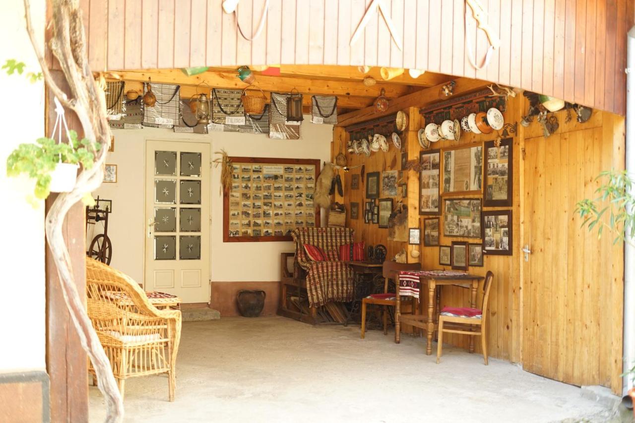 Casa Ciortea Ana *